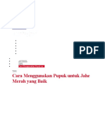 Cara Menyuburkan Jahe Merah