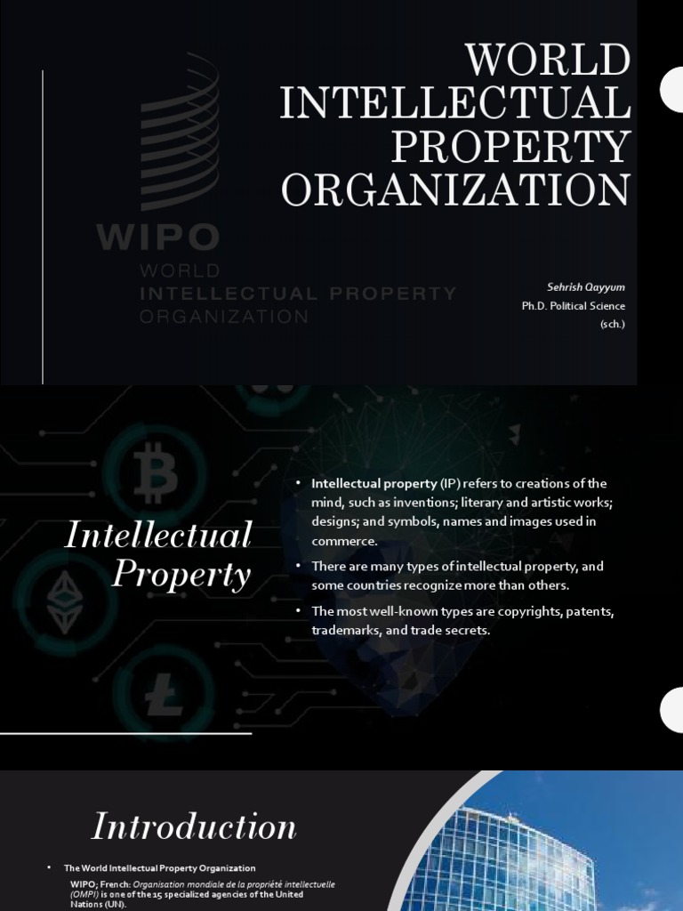 WIPO: Global IP Protection Guide | PDF | World Intellectual Property ...