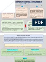 La Publicidad Registral y Los Efectos Del Principio de La Fe Pública Registral