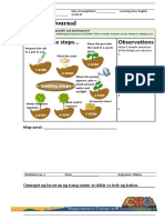 My Pet Plant Grade 3 Final