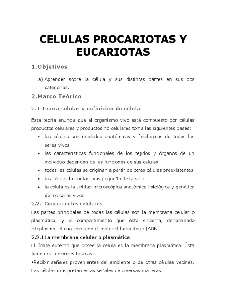 Comparativa de Células Procariotas y Eucariotas | PDF | Biología ...