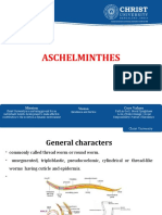 Christ University Ascaris Life Cycle