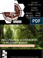 ORGANISMOS AUTÓTROFOS Y HETERÓTROFOS - Niveles Troficos