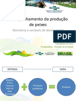 Acompanhamento Da Produção de Peixes