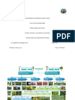 Mapa Conceptual Del Reino Plantae