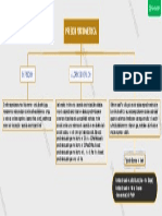 U1 - T2 - Mapa Conceptual - PV