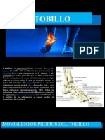 Tobillo Anatomia y Proyecciones Radiograficas