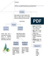 Mapa Conceptual Pye PDF