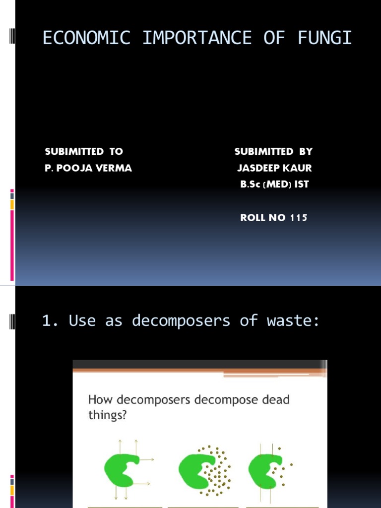 economic importance of fungi assignment pdf