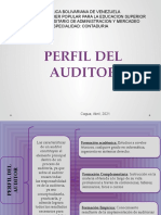 Cuadro Sinoptico Perfil Del Auditor 2021