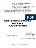 Infografia Generalidades de La Auditoria