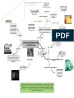 Visiones Inadecuadas Del Hombre en América Latina