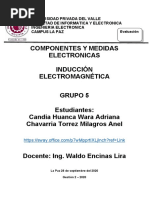 Induccion Electromagnetica | PDF | Campo magnético | Corriente eléctrica
