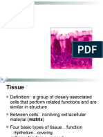 Lecture 4 Tissue