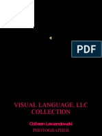 Visuallanguagepresentation 124603275936 Phpapp02