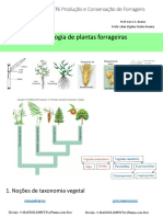 Morfologia de Plantas Forrageiras 71p. SLIDES