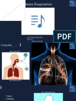 Apresentação - Trabalho 3 - Anatomia - Sistema - Respiratório