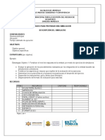 Guia para Elaboracion de Simulacros