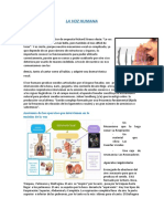 LA VOZ HUMANA 2do Trimestre