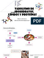 Metabolismo de CH, Lipidos y Proteinas 17 Nov 2013