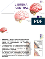 Sepsis Del Sistema Nervioso Central