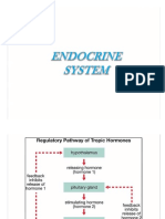 Endocrine Lecture Part 1