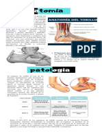 Tomía: El Ligamento Peroneoastragalino Anterior: Es El