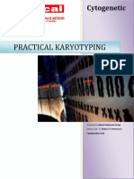 CYTOGENETICS - Karyotyping