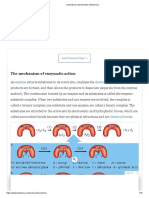 The Mechanism of Enzymatic Action: Enzyme Chemical Reaction