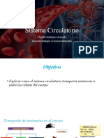 Sistema Circulatorio (Primer Ciclo)