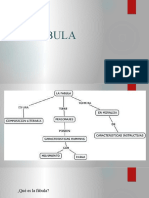 4°año-la-fabula-2021