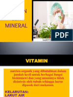 Vitamin & Mineral
