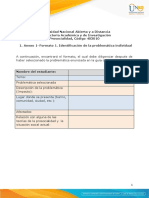 Anexo 1 - Formato 1. Identificación de La Problemática Individual.