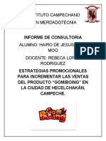 Informe de Consultoria