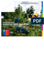 Panorama de La Agricultura Chilena Odepa 2019