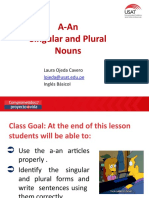 4- A,An-Singular and Plural