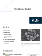 Kuliah Helicobacter Pylori
