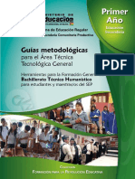 Guias Metodológicas - 1er año