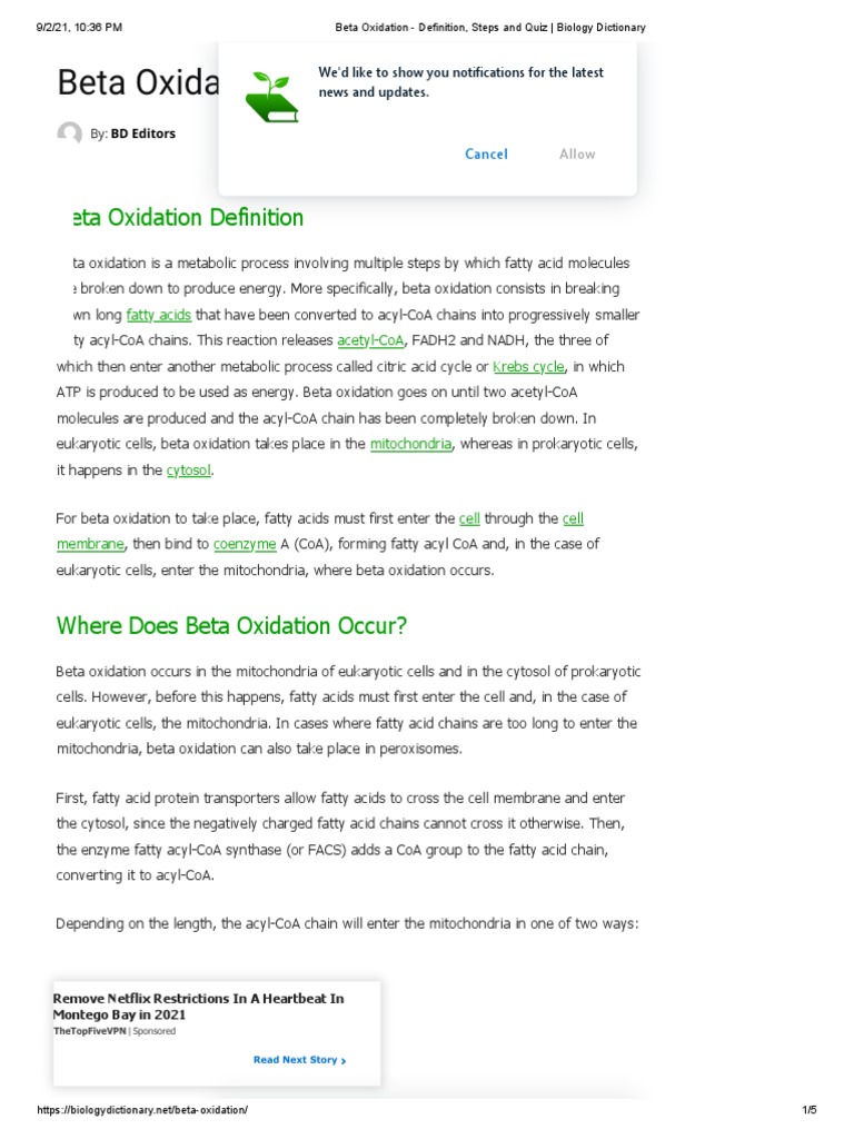 Beta Oxidation (Catabolysis of Fatty Acids) Definition, Steps and