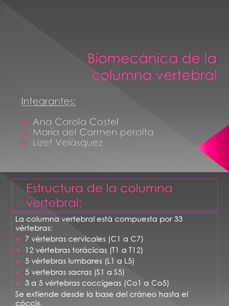 Anatomía y Cuidado de la Columna Vertebral | PDF | Vértebra | La ...
