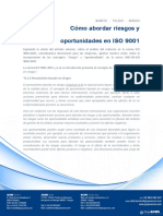 Riesgos Oportunidades Iso 9001