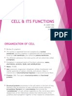 Cell & Its Functions