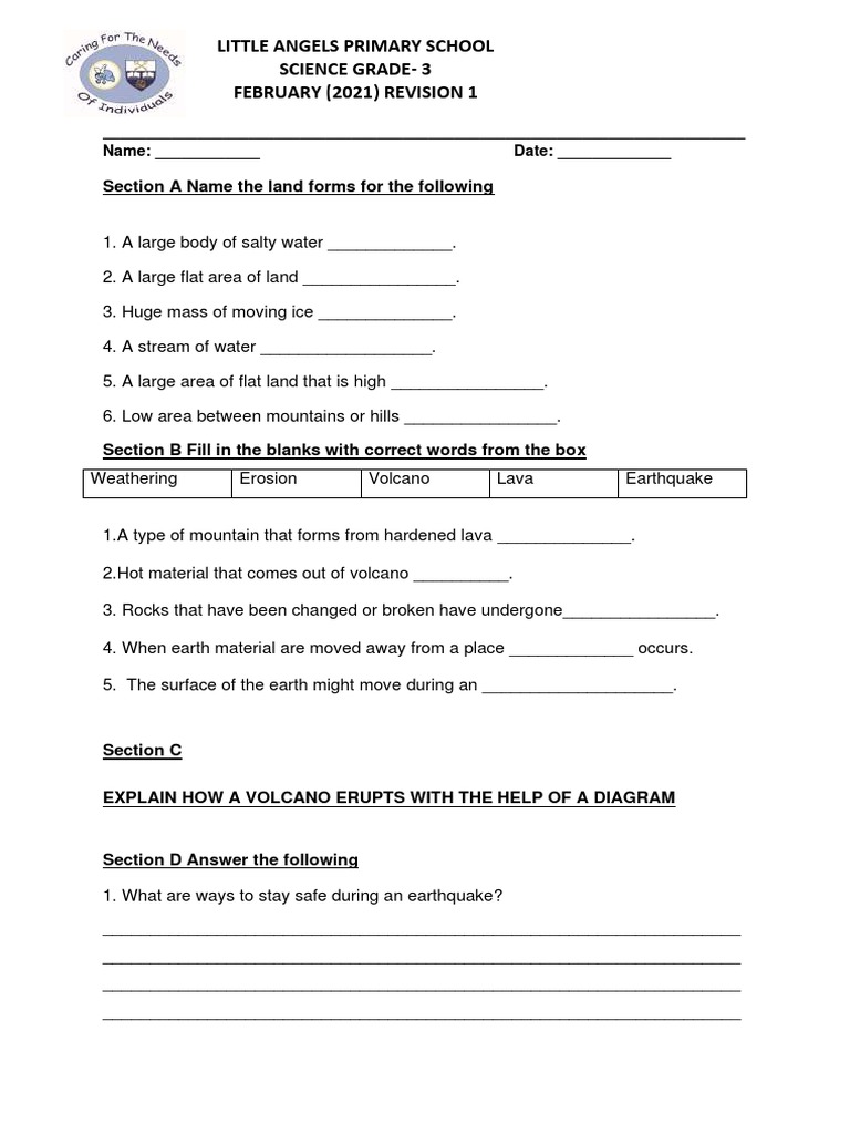 Grade 3 Science Revision Guide | PDF | Social Science
