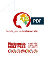 Mapfre Inteligencia NATURALISTA Color