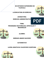 Programas Sectoriales, Especiales y Regionales-Enrique Amaro Saucedo