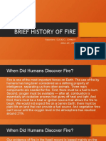 Fire History Carboniferous