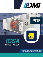 IGSA 60 KW planta eléctrica