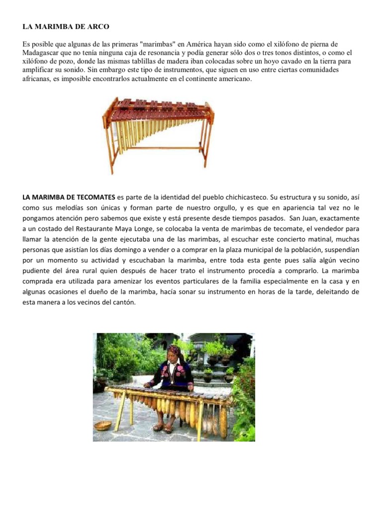 Clases de Marimba Instrumentos musicales Entretenimiento (general)