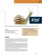 Snails: Fundamental Aims of The Activities The Snail