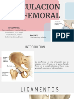 Articulacion Coxofemoral